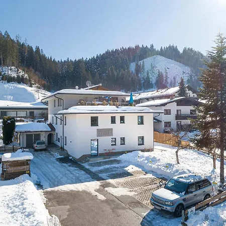 Bei Resi Und Lisi Appartement Hopfgarten im Brixental